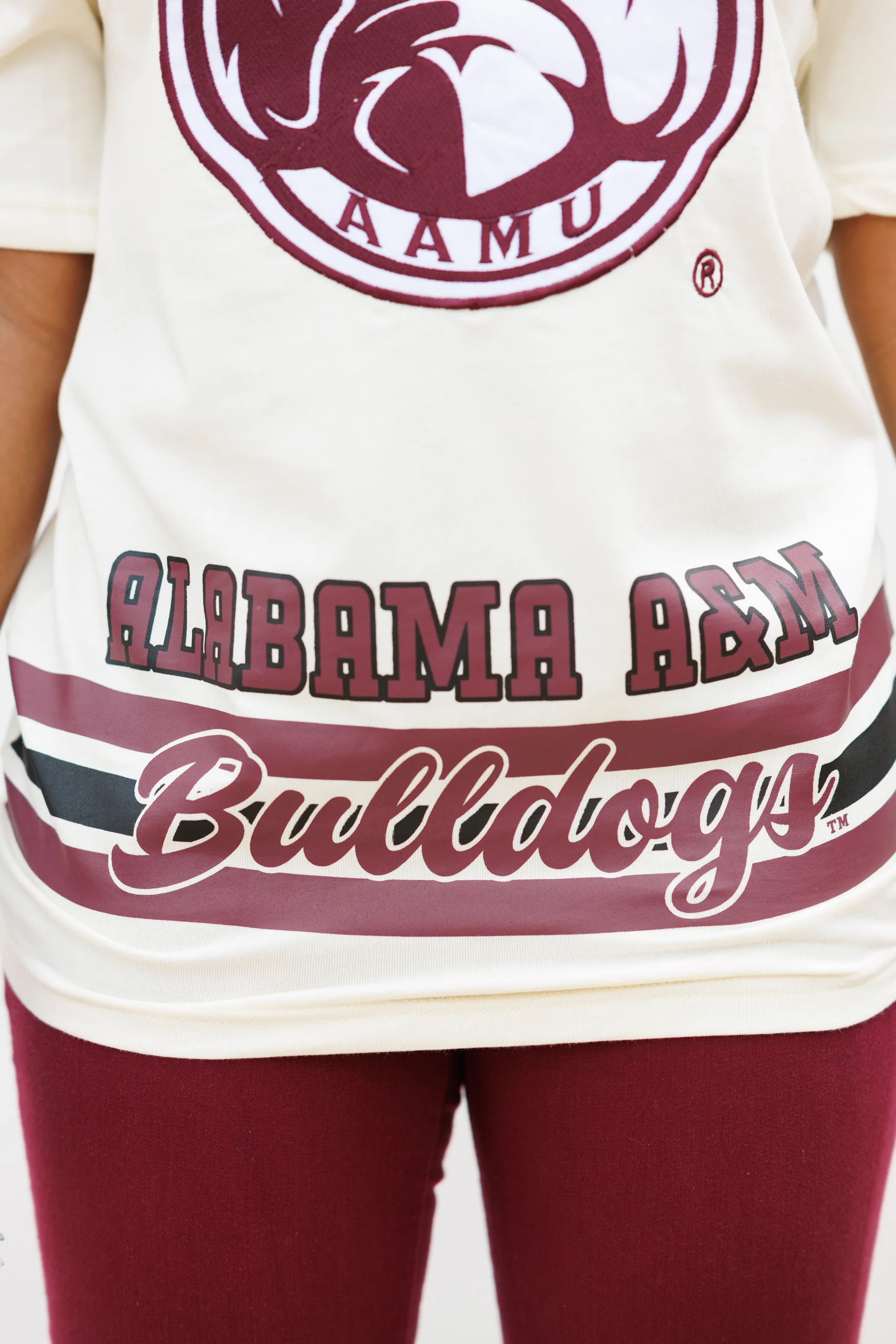 AAMU BIG Bulldog PREMIUM Tee in Cream - Image 6