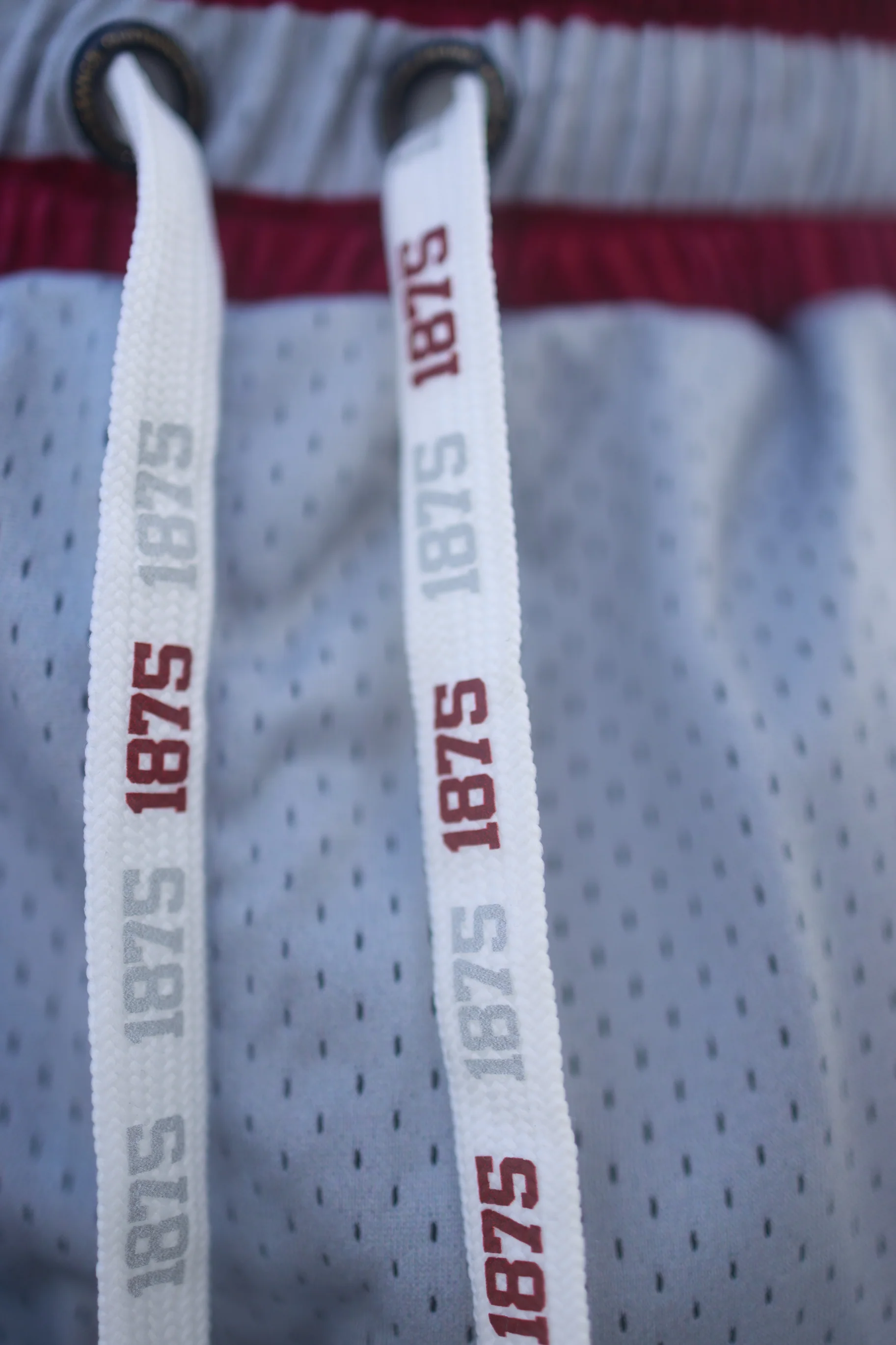 AAMU Big Logo Mesh Shorts (GRAY) - Image 4