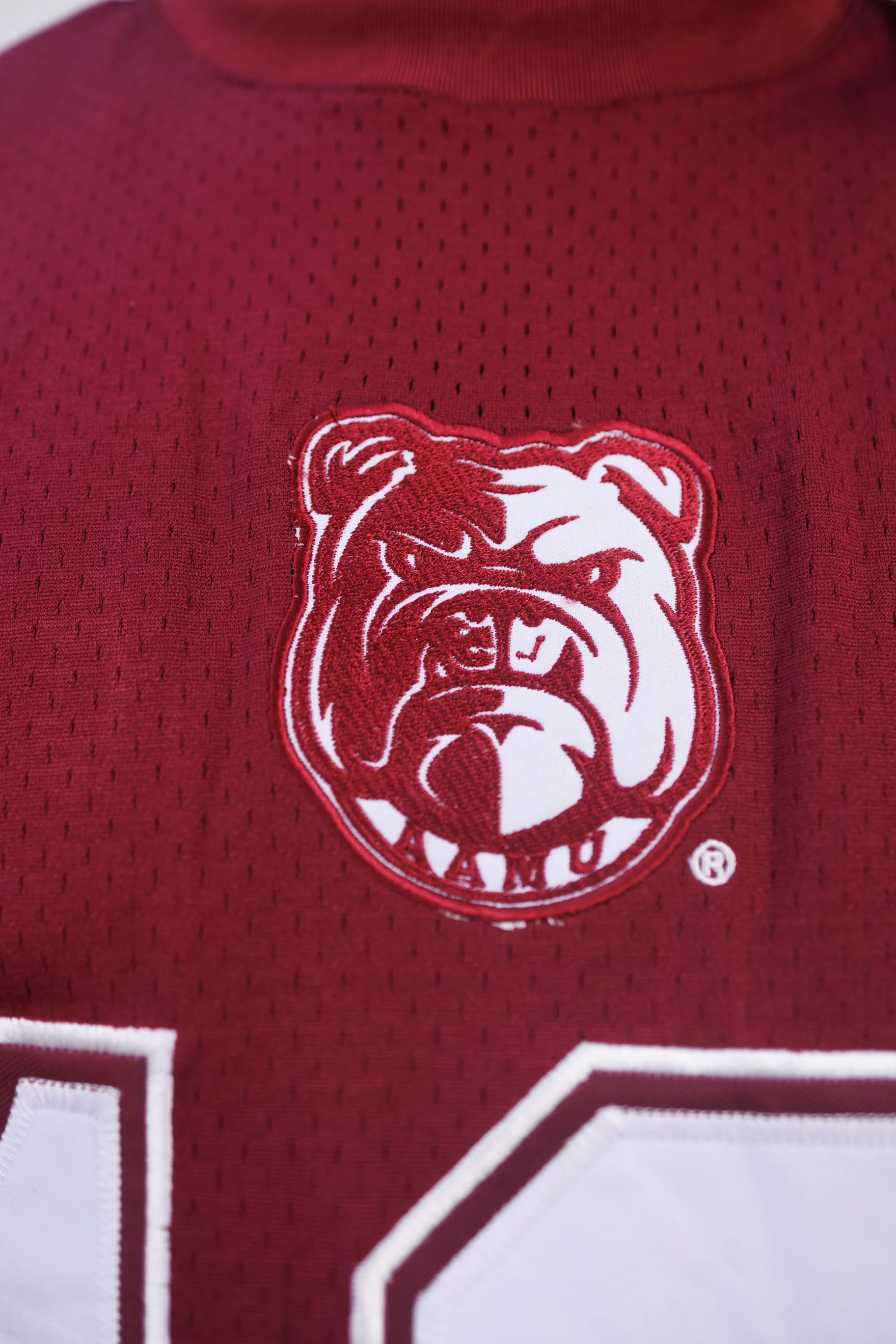 AAMU Bulldogs Established Date Jersey - Image 5