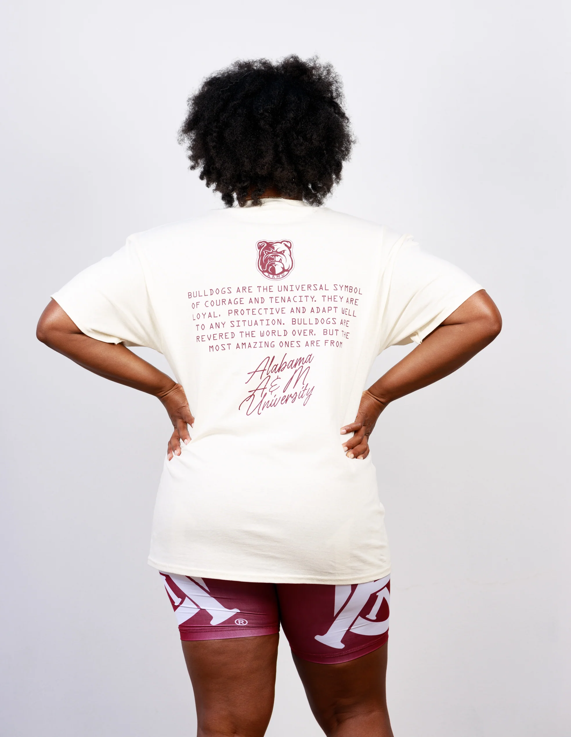 AAMU "Statement" Tee - Image 4